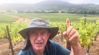 Escape Artist Alexander Valley Red Blend September 22, 2025