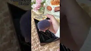 Essential Everyday Makeup Brushes | So Cute & Portable!