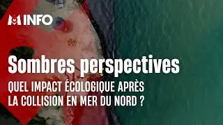 Quel impact &eacute;cologique apr&egrave;s la collision en mer du Nord ?