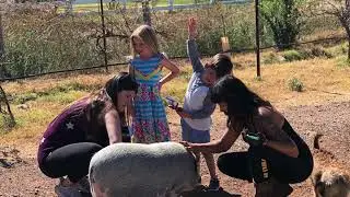 Selah Carefarm animals with Dr  Jo