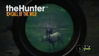 The Hunter COTW: Cow Hunter