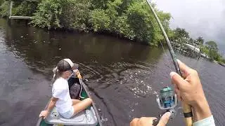 Skipping docks for Giant Snook