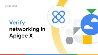 How to verify networking in Apigee X