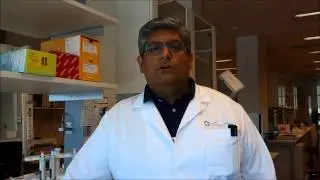 A New Global Collaborative Study on Liposarcoma
