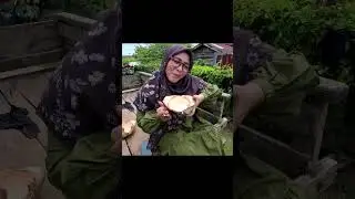 Disediakan Air Kelapa! | 2025 #merauke #tanahmiring #desisulastri
