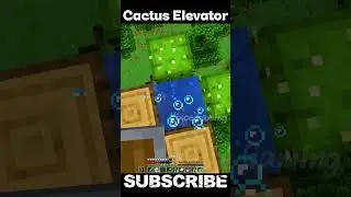 Cactus Elevator