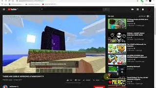 Minecraft Debugs Reaction