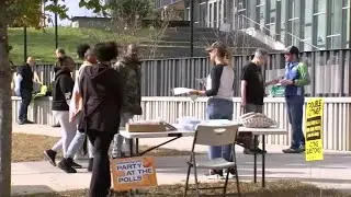 Campaign volunteers react to Trump's resounding victory