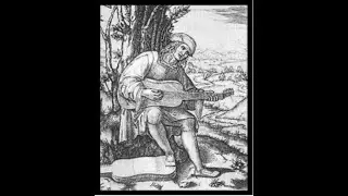 Two fantasias by Miguel de Fuenllana--Tony Hauser--vihuela