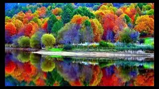 SEASONS (I Long for You) Vocal  feat  Trini Jacobs