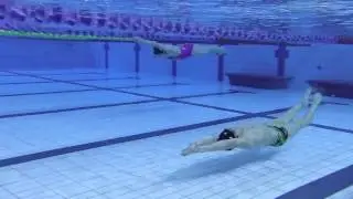 HAGINO Ba Dolphin after starts
