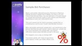 Bidify Presentation (15 minutes)