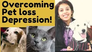 Pet loss dealing- Pet loss depression- Pets Afterlife-Overcoming depression