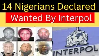 14 Nigerians Declared Wanted by INTERPOL: Shocking Crimes and Details