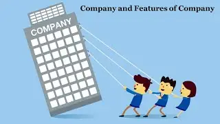 Company and Features of Company