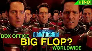 ANT-MAN QUANTUMANIA A FLOP ? | ANT-MAN 3 BOX OFFICE COLLECTIONS