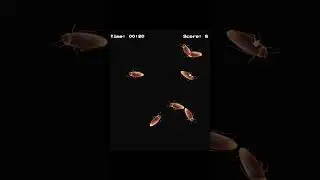 Project 23: "Insect Catch Game Using HTML CSS and JAVASCRIPT" #howtocreateawebsiteusinghtmlandcss