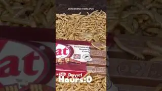 Mealworms Vs  KitKat #mealworms #timelapse #fruit #insect #food #mealwormstimelapse #satisfying