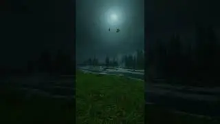 Wind Ambience. #windambience #asmr