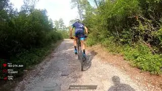 XCM 