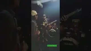 KONGKALIKONG TONY Q. (cover camminare) #coverreggae #cover #tonyqrastafara #pemula #kongkalikong