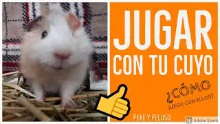😱 &iquest;C&oacute;mo JUGAR con tu CUYO?
