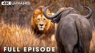 African Savannah | Deadliest Battles for Survival | FULL EPISODE | Wildlife Documentary