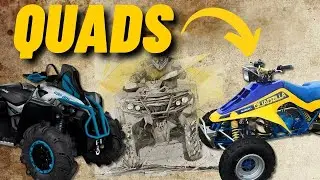 Was du schon immer &uuml;ber Quads wissen wolltest
