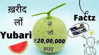 ले लो ₹ 20,00,000 rupey ke ख़रबूज़े |fruit King |factztech| Untold truth|#shorts