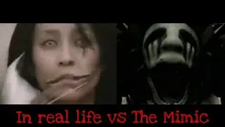 Mihari (Irl vs The Mimic)