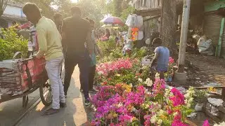 morning view of Galiff street flower plants market Kolkata ( tala hat) Shyambazar.