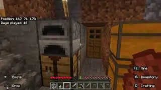 Minecraft Survival - A New Beginning