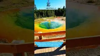Nature&rsquo;s Hot Tub? Morning Glory Pool in Yellowstone National Park! #yellowstone #morningglory #fyp