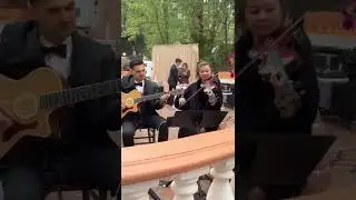 OMG: 