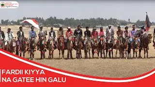 Hidhata Oromoofi Fardaa