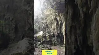 WAWEC 7 ZOLIN