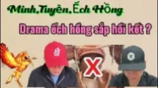 Minh HN,Tuyên Tuk Tuk,Ếch Hồng.