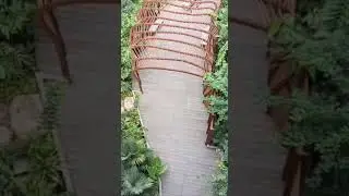 सिंगापूर गार्डन