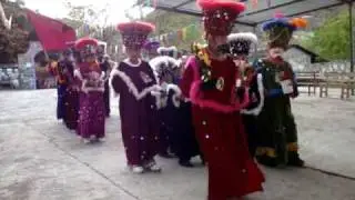 fiestas de cuaxilotla gro 2009