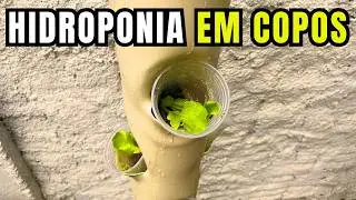 Torre hidropônica funcionando! Veja como montar, ligar e plantar