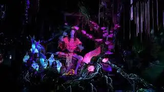 Na&rsquo;vi River Journey Shaman of Songs | Avatar Ride at Disney&rsquo;s Animal Kingdom