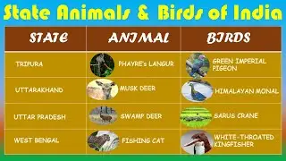 STATE ANIMALS AND BIRDS OF INDIA|LIST OF 28 STATES & 8 UNION TERRITORIES ANIMALS & BIRDS OF INDIA