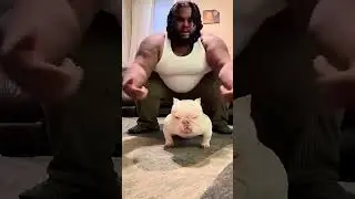 The longer you raise your dog, the more it resembles its owner 🐶 #funny #funnyvideos #dog #funnydog