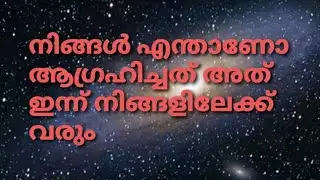നിങ്ങൾ എന്തിനുവേണ്ടി കാത്തിരുന്നോ അത് ഇന്നാണ് നടക്കുന്നത് #malayalamtarotreading #dreamcometrue 