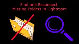 The Correct Way to Move Folders in Lightroom