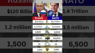 Russia vs NATO Without USA  Military Power Comparison  Army, Navy, Airforce 2025