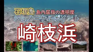 石垣島屈指の透明度！崎枝浜でシュノーケル