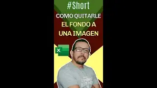 C&oacute;mo quitarle el fondo a una imagen en Excel.