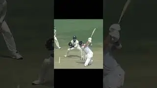 Dewald Brevis sixes against nauman ali 🔥 #brevis p#pakvssa #cricket