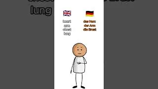 Body Parts in german #germanclass #education #germanlanguage #germanlearning #germanlangua
